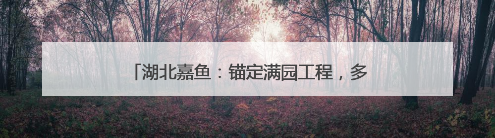 湖北嘉鱼：锚定满园工程，多维度发力推动园区高质量发展